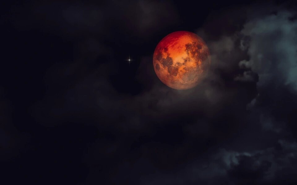 Фото: Shutterstock