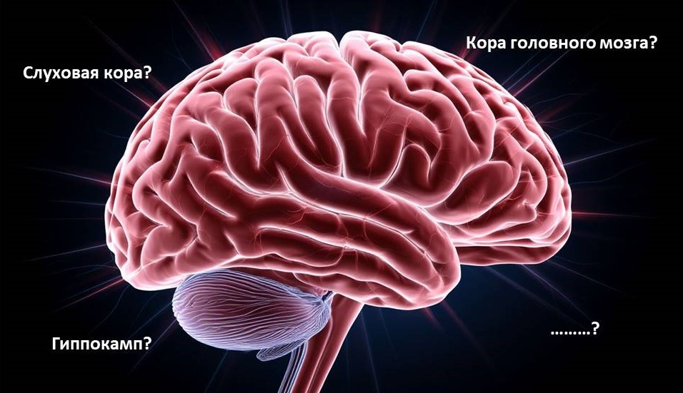 Создано с помощью ИИ