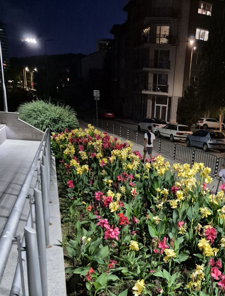 А у нас у реки опять бурно расцвели цветы, на которые мы еще в прошлом году после переезда радовались. 