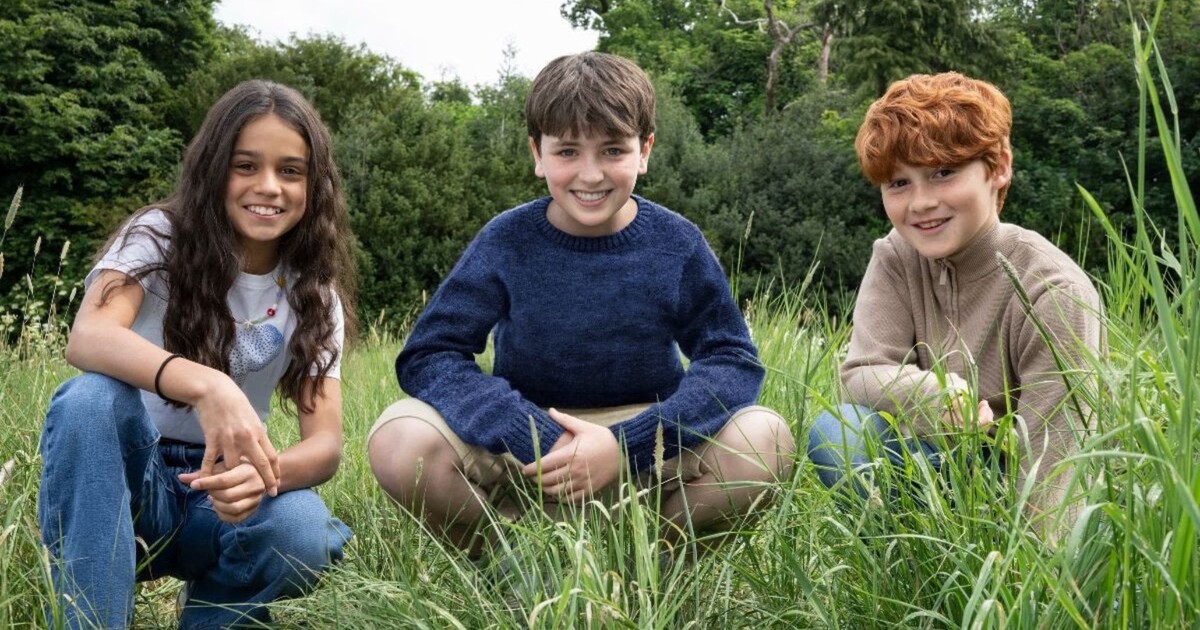 Гарри Поттер, Рон Уизли, Гермиона Грейнджер