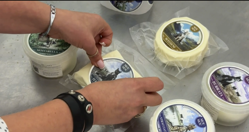 Первые шаги