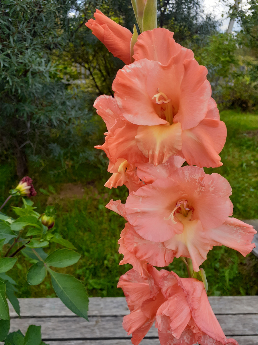 Фото автора.