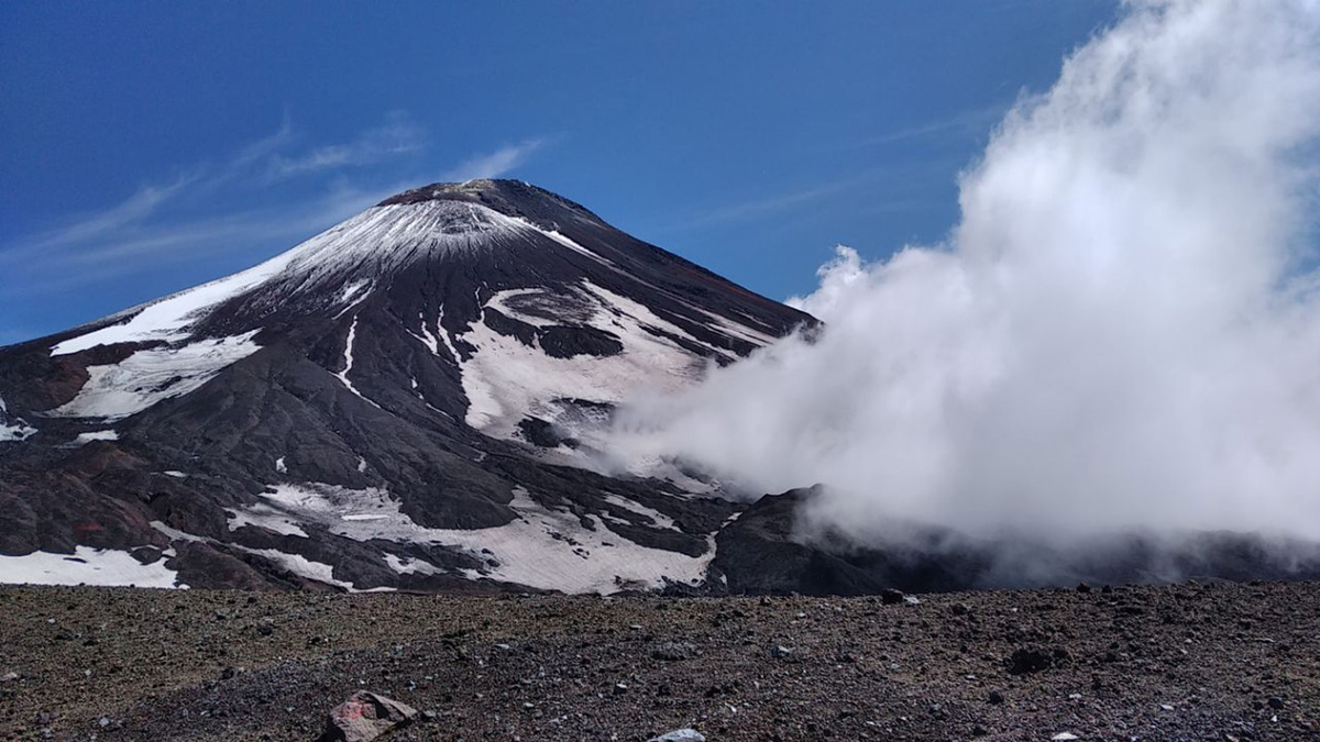 Защита Арктики и Дальнего Востока от ЧС станет международным приоритетом.  Фото: Фото: ФедералПресс / Екатерина Аблицова