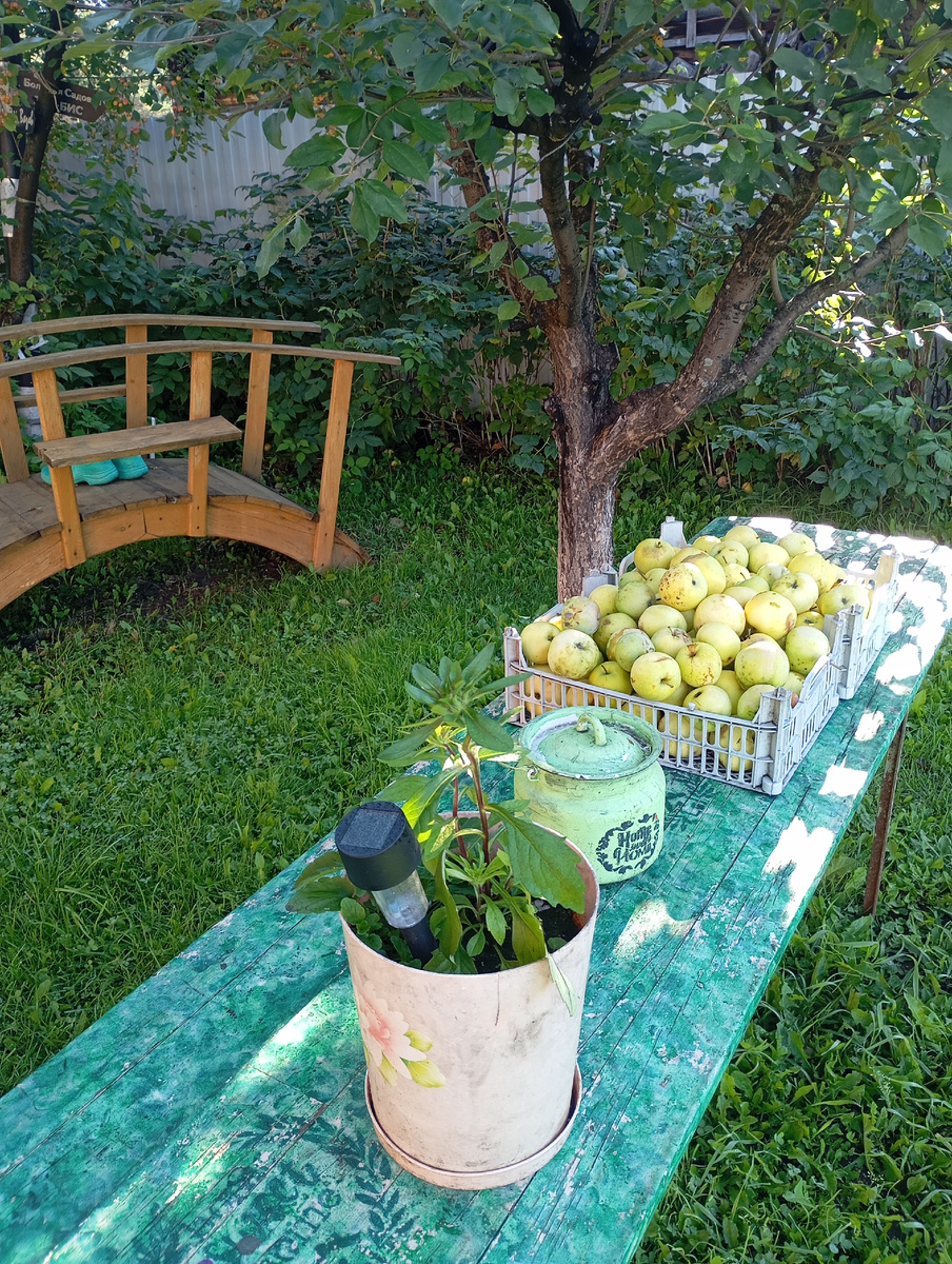 Просыпается день в, саду.