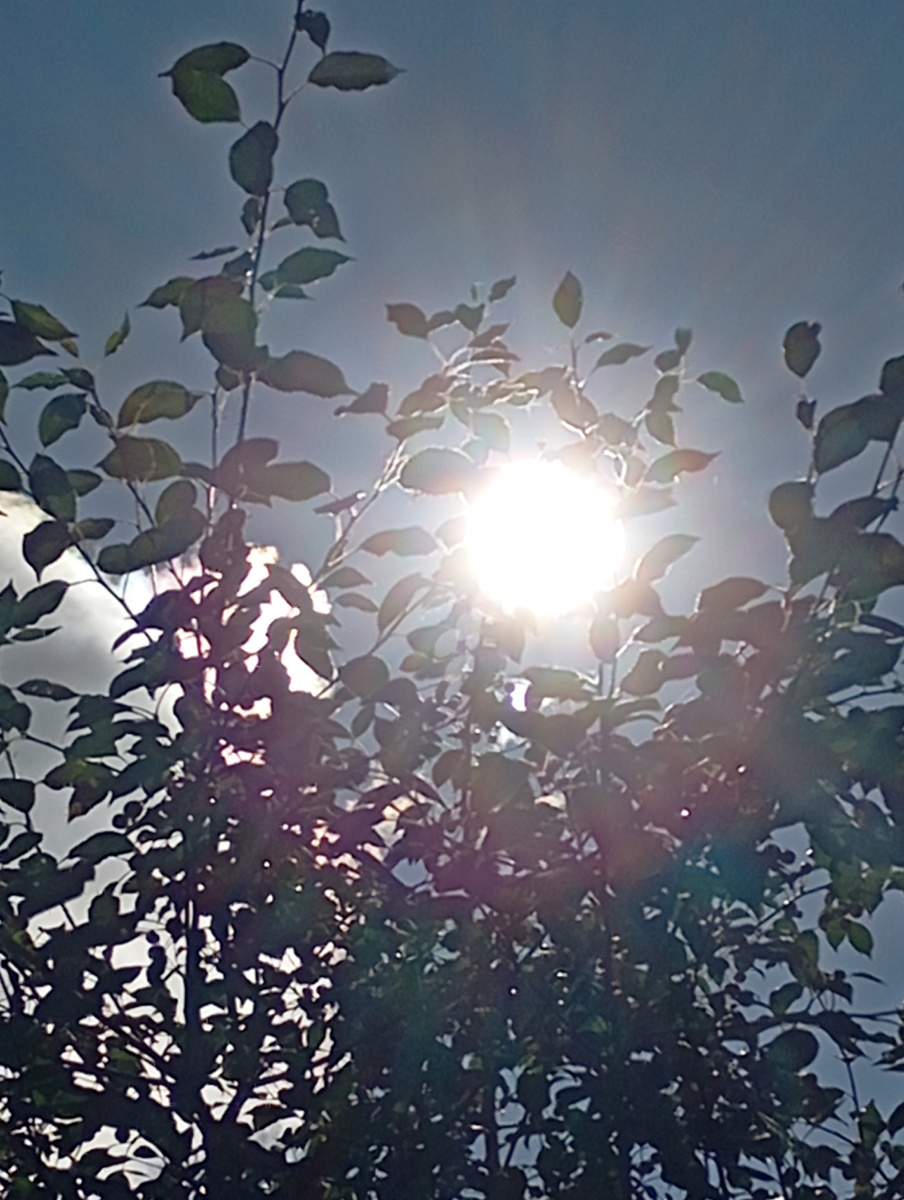 Солнце поднялось  и слепит