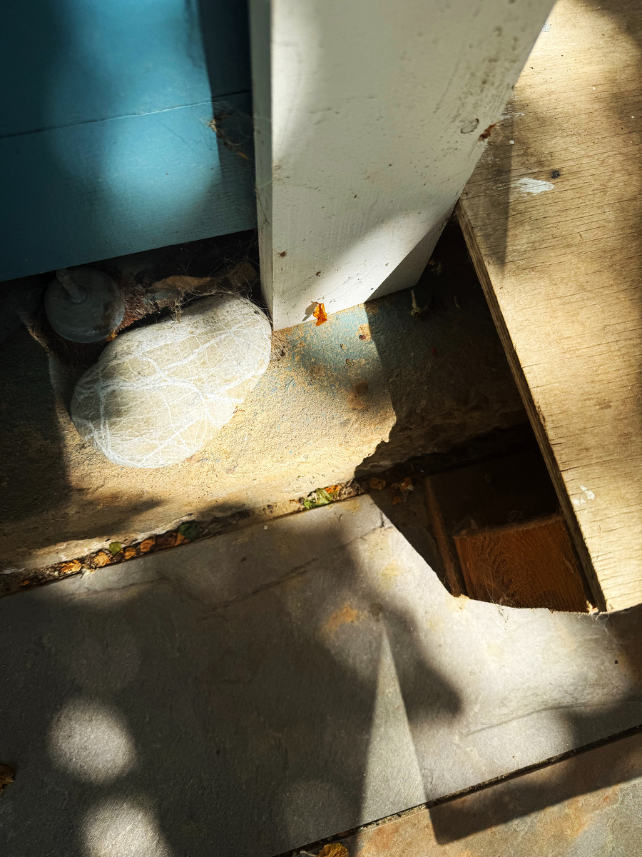 @photo_glory #photographer #RadaOlshevskaya 