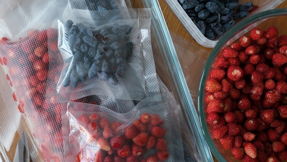    Автор фото: Irina Zharkova31/Shutterstock/FOTODOM