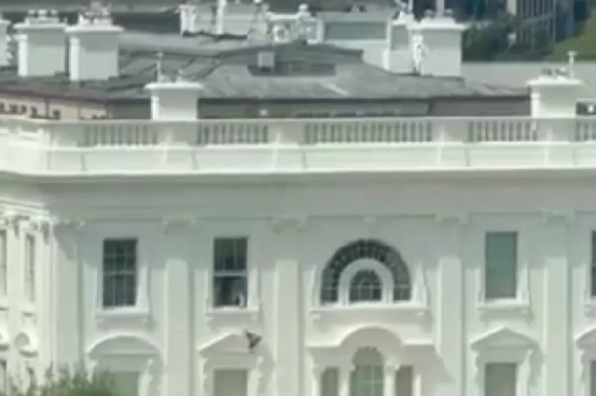    Трамп высказался о таинственном предмете, вылетевшем из окна Белого дома