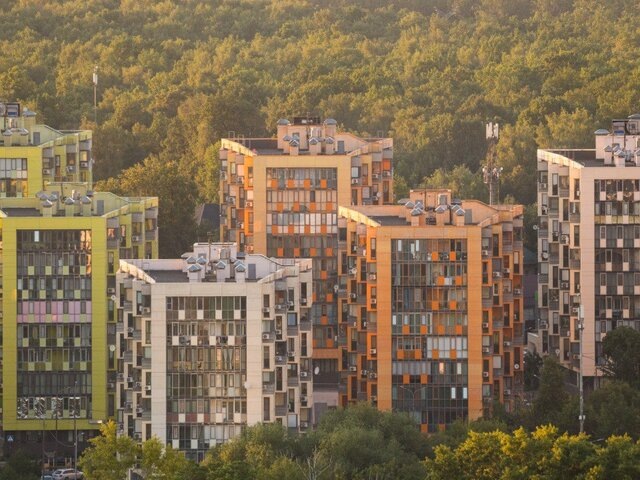    Фото: ТАСС/Александр Манзюк