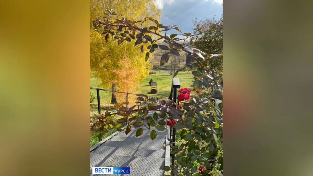    Курян ждет стабильная погода без осадков