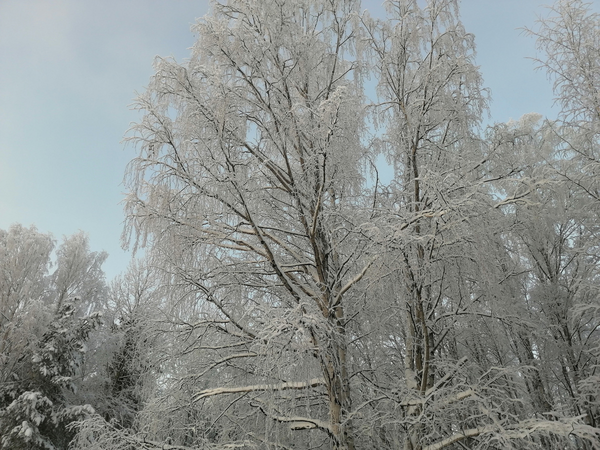 Гуляли. Мороз был градусов 28. Бррр