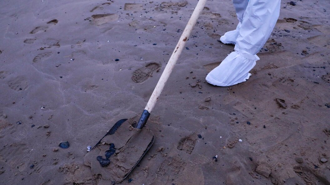    Фото: Roman Naumov/Globallookpress