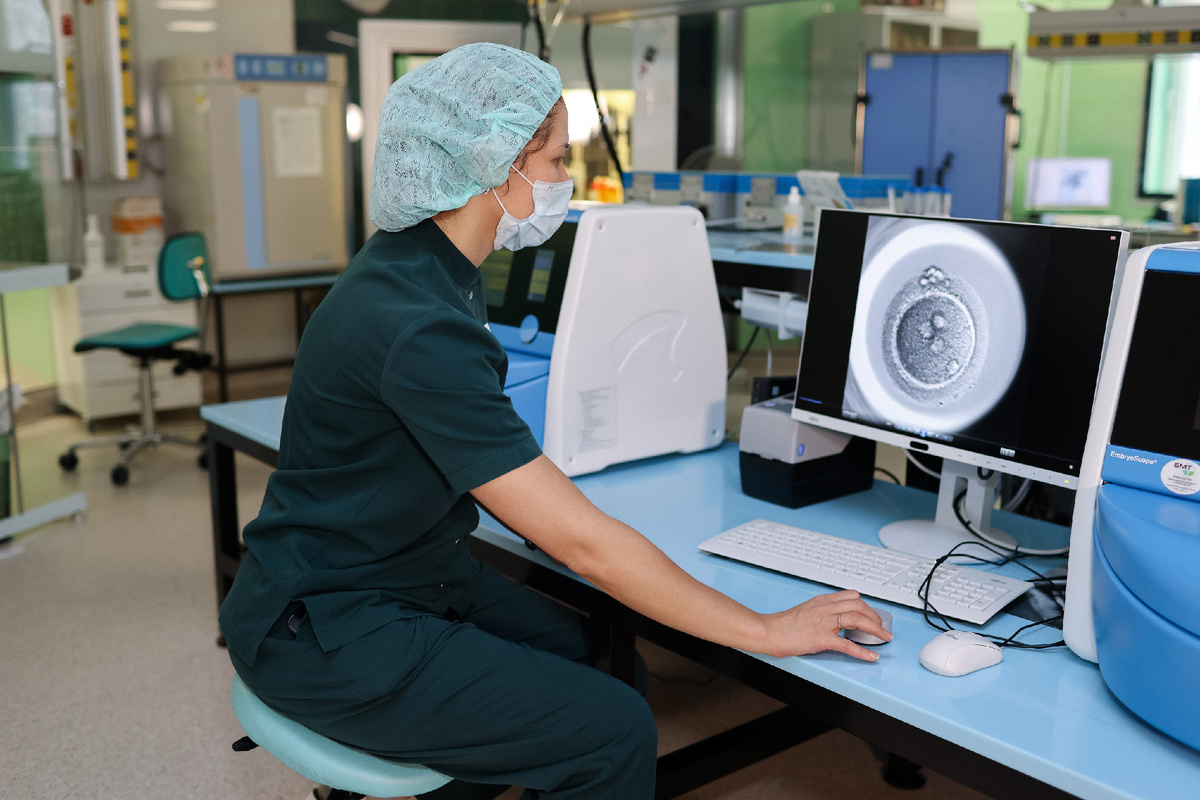 Наблюдение за развитием эмбриона в инкубаторе с системой Time-Lapse. 