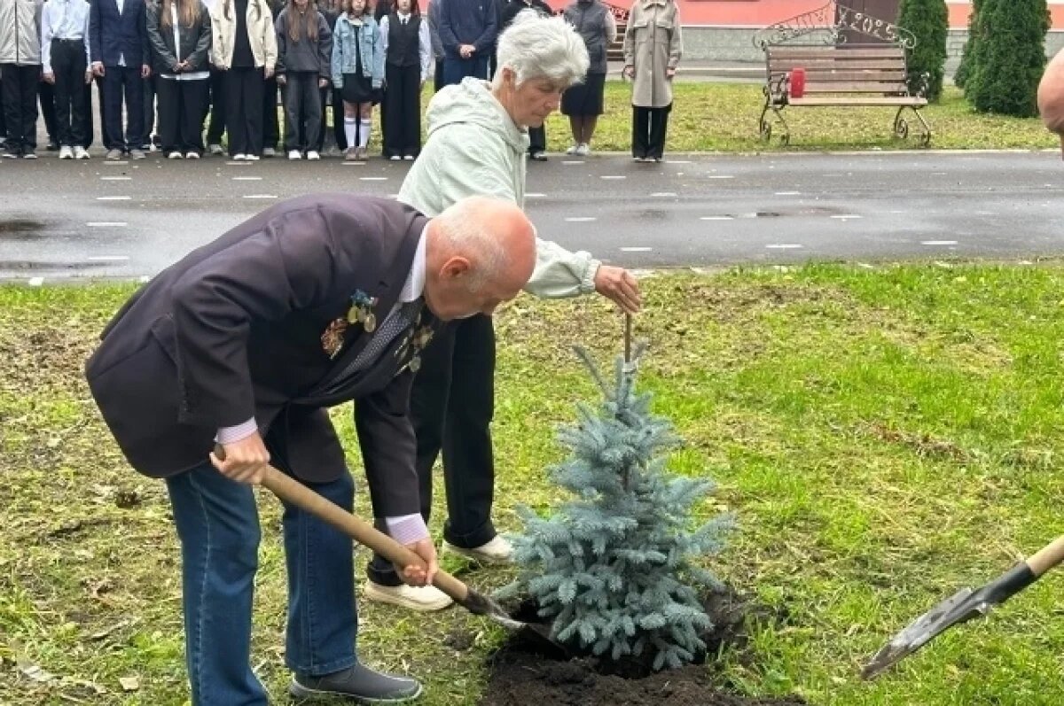    На территории рыбинской школы посадили ель в память участника СВО