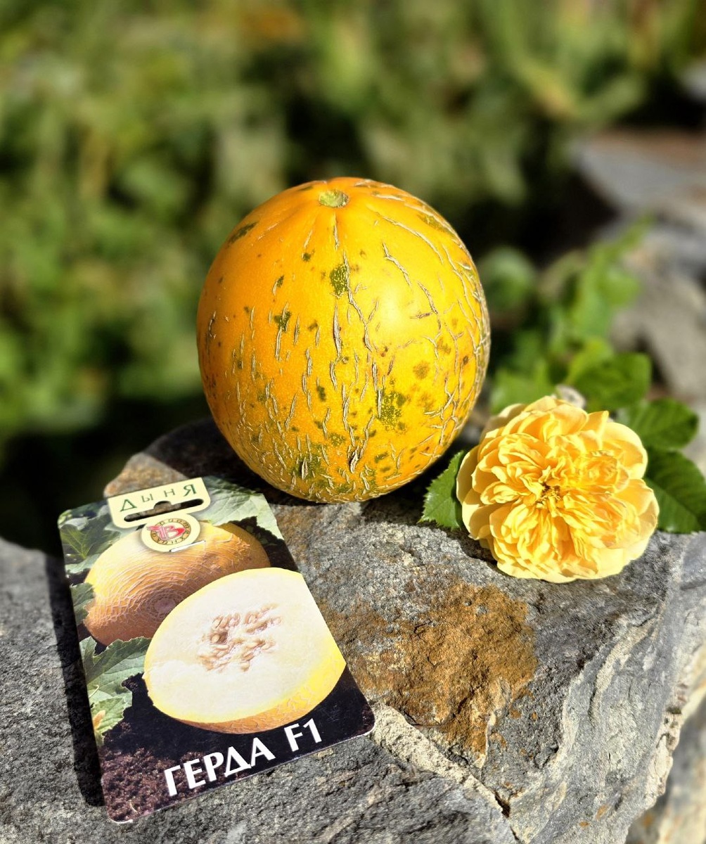 Фото Надежды Терентьевой