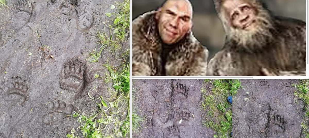 коллаж автора