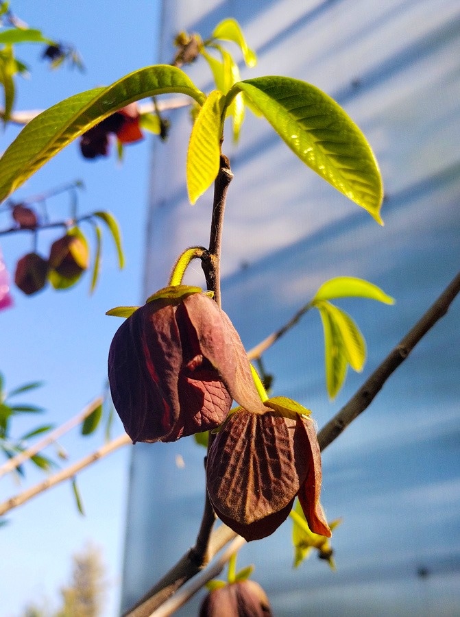 Фото из Интернета