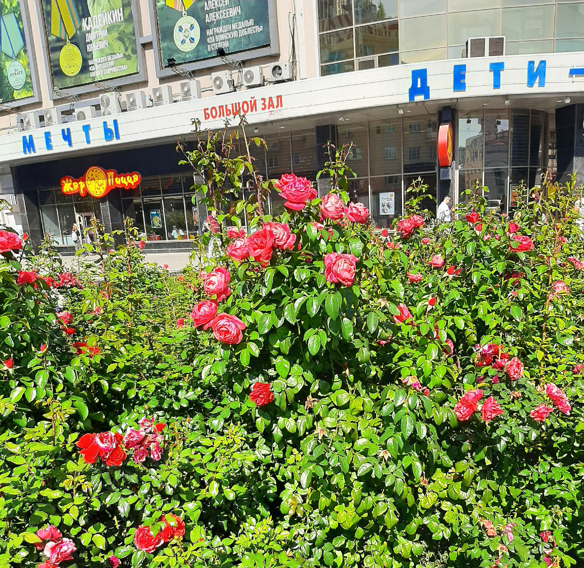 В центре города 1 сентября