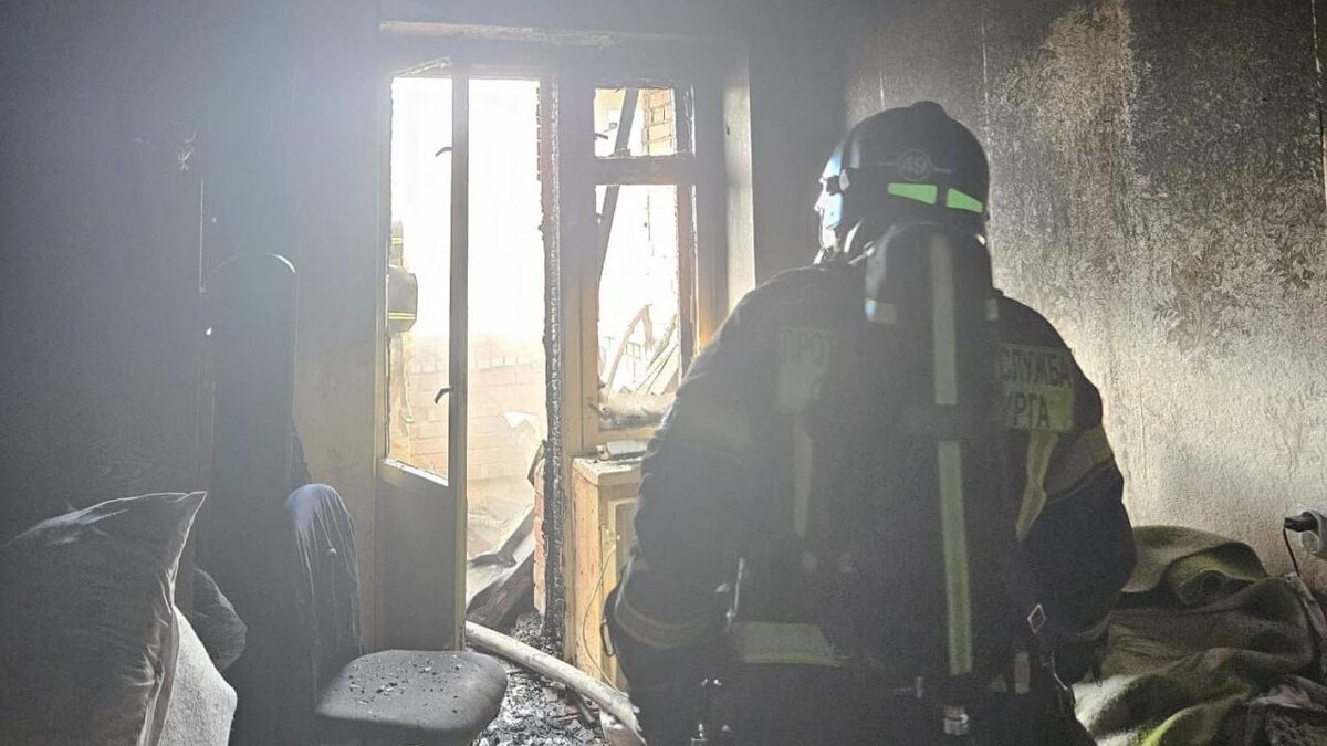    Фото: пресс-служба ФГКУ "УВО ВНГ РФ по г. СПб и ЛО"