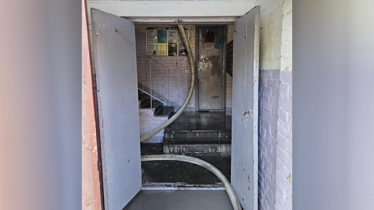    Фото: пресс-служба ФГКУ "УВО ВНГ РФ по г. СПб и ЛО"