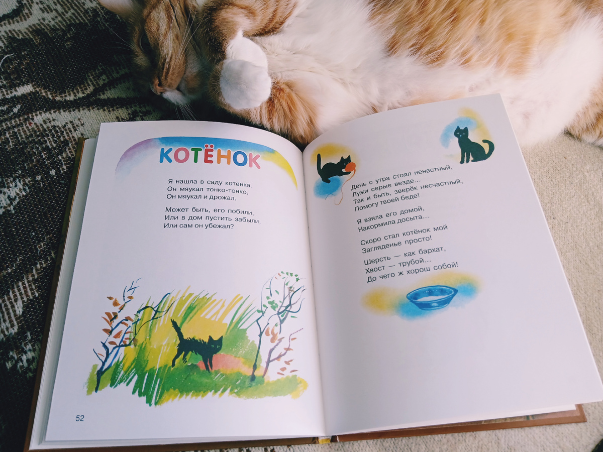 Е. Благинина "Улетают, улетели..." Издательство "Стрекоза", 2017 год. Фото автора статьи. 