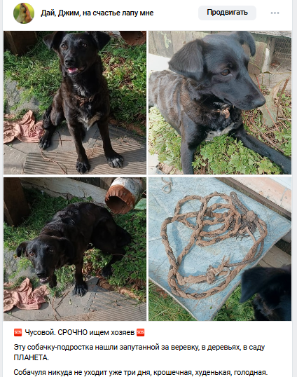 Мы разместили посты по всем пабликам, но откликов нет