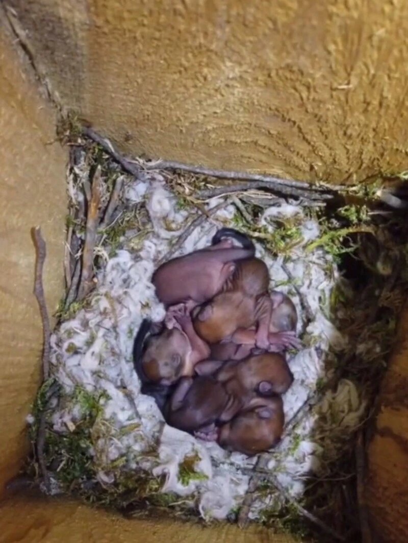     Фото: Регоператор «ЖКХ»