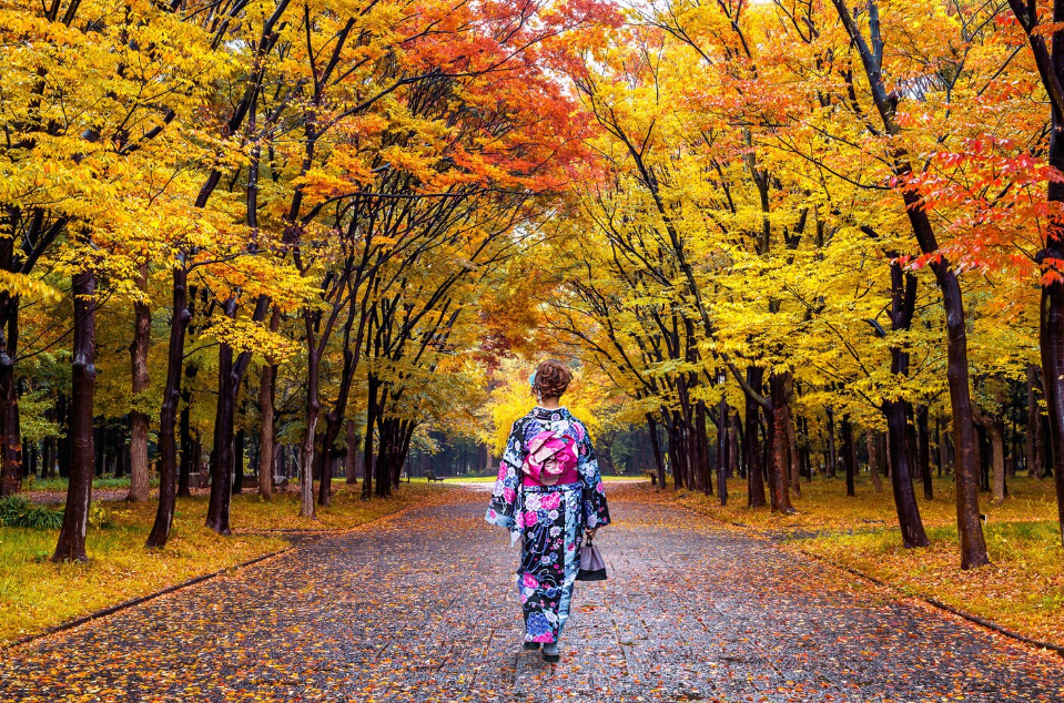 https://ru.freepik.com/free-photo/asian-woman-wearing-japanese-traditional-kimono-autumn-park_10695443.htm#fromView=search&page=1&position=0&uuid=959e7a47-6ed9-451d-8e65-8485f2dcb04d&query=%D1%8F%D0%BF%D0%BE%D0%BD%D0%B8%D1%8F+%D0%BE%D1%81%D0%B5%D0%BD%D1%8E