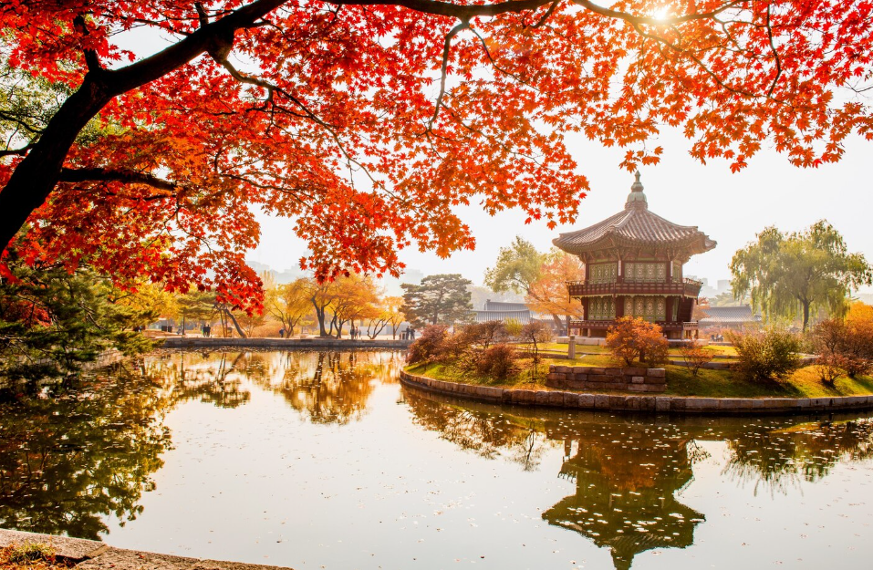 https://ru.freepik.com/free-photo/autumn-gyeongbokgung-palace-seoul-south-korea_11600446.htm#fromView=search&page=1&position=14&uuid=4aa66623-c016-490b-9a79-959e15765dfc&query=%D0%BA%D0%BE%D1%80%D0%B5%D1%8F+%D0%BE%D1%81%D0%B5%D0%BD%D1%8E
