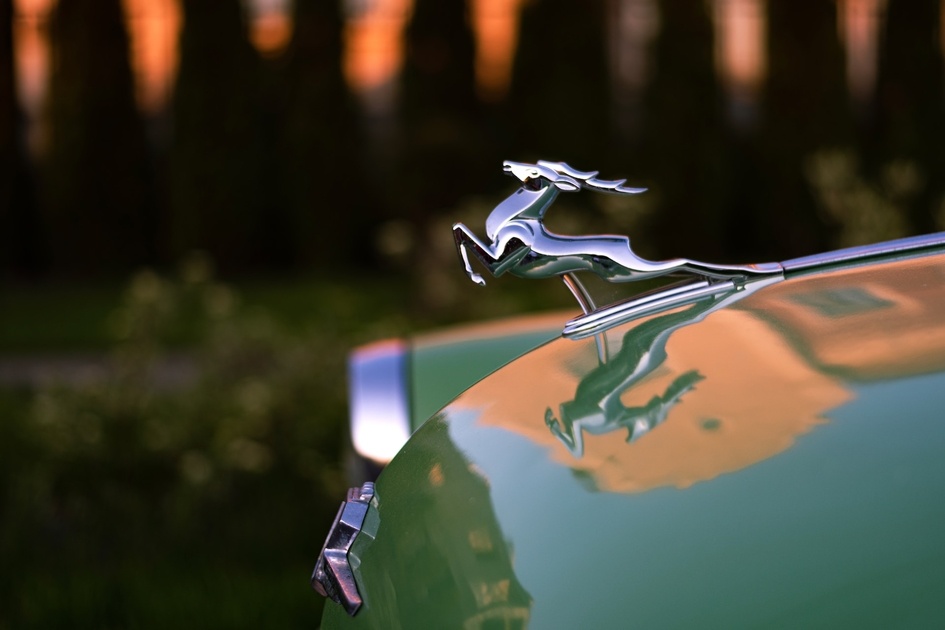 Лёгкимдвижением рынка олень превращается...