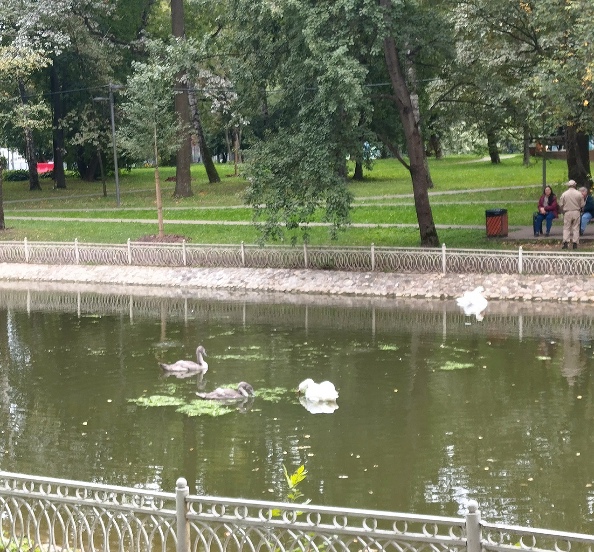 В Лианозовском парке.