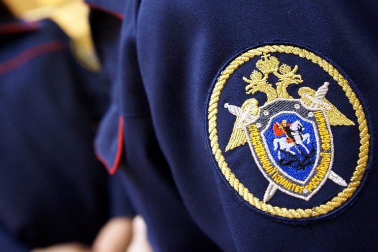    В Орске завершено расследование дела о халатности при отлове бездомных собак Оренбуржье