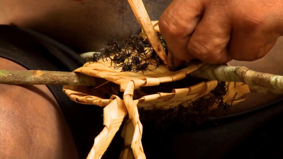 Фото: © Кадр из программы "Невероятно интересные истории", РЕН ТВ