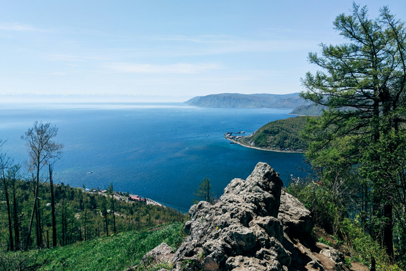     Markus Winkler/Unsplash