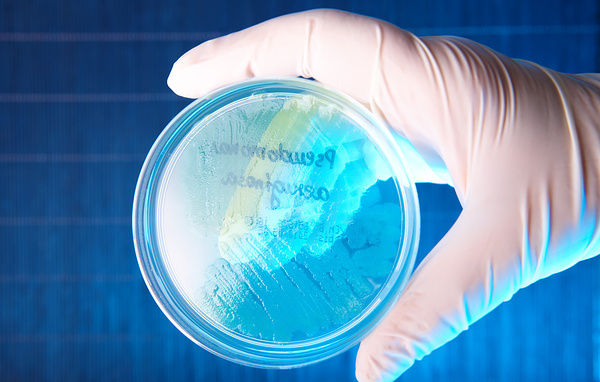 Monika Wisniewska/Shutterstock/FOTODOM