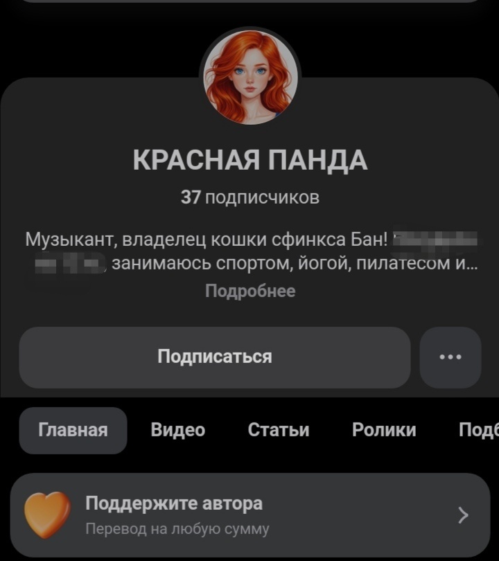 Пришлось скрыть из за странного описания (кстати, описания не влияют на обзор) 