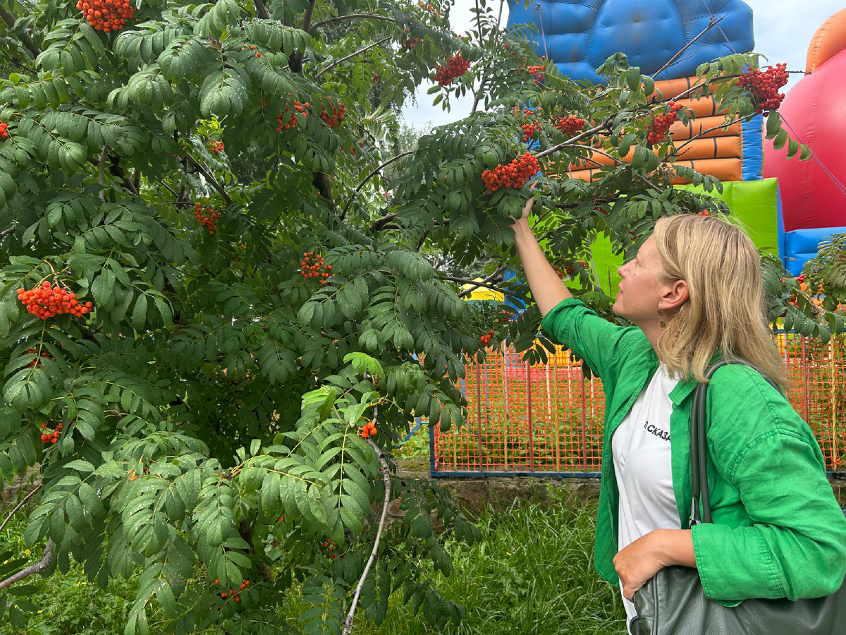 Костры рябин. Первая встреча после долгой разлуки (фото из архива автора)