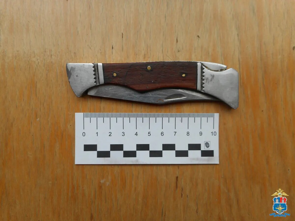 Фото:пресс-служба УТ МВД России по СКФО