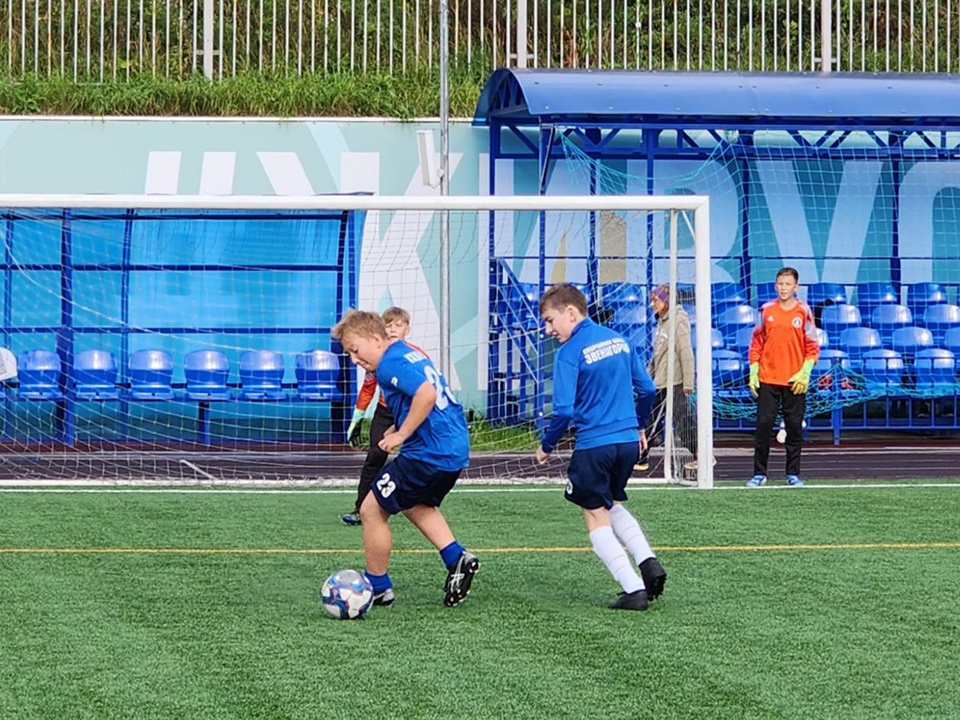     Фото: REGIONS/Хавива Фонина