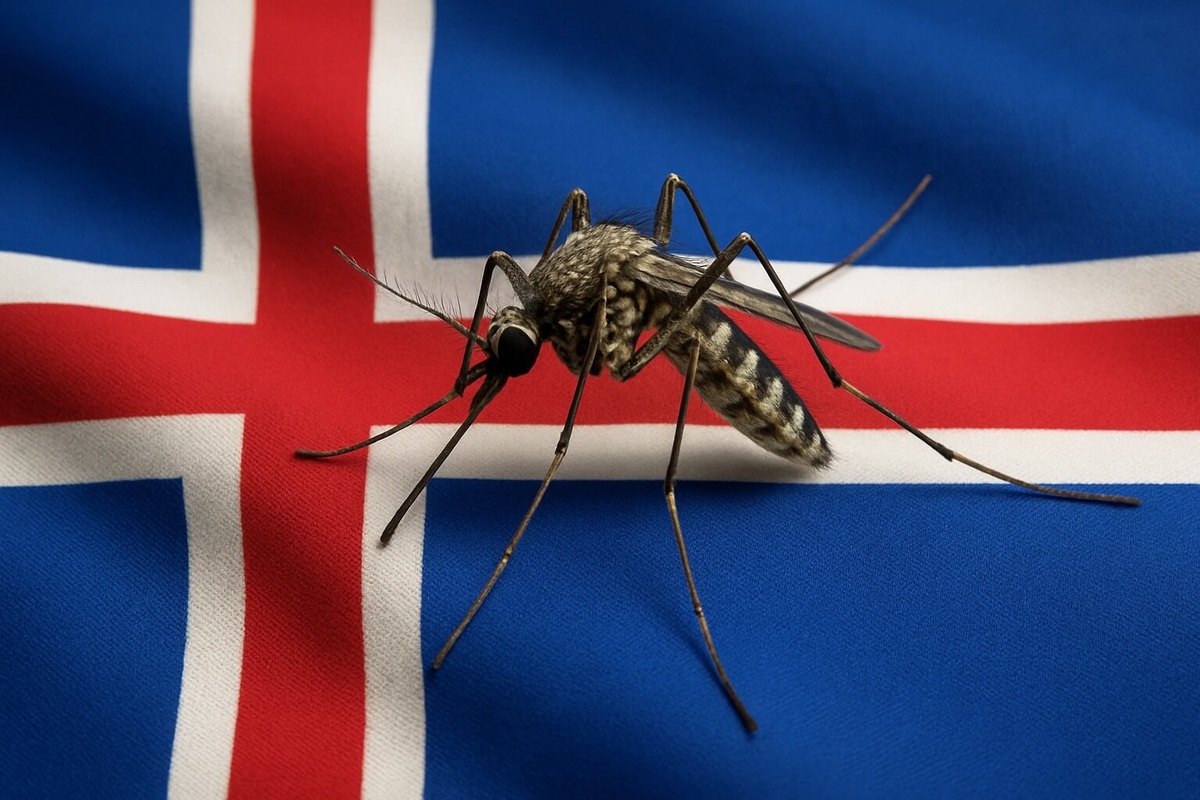    Исландия — единственная страна Европы, где нет комаров