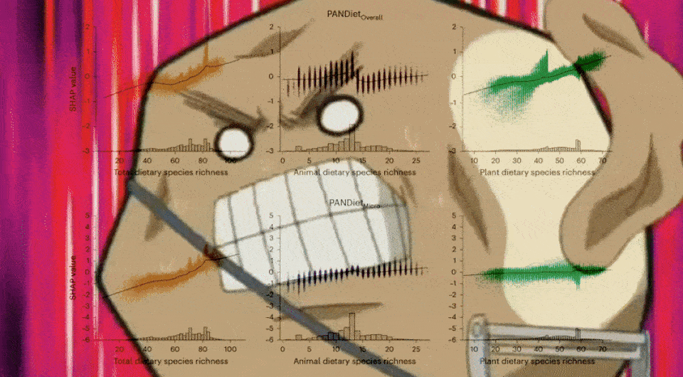   Dai Mahou Touge, Jeroen Berden / Studio Barcelona, 2006-2009; Nature Food, 2025; N + 1