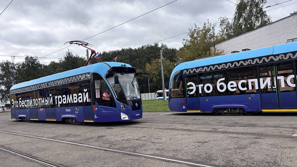    Фото: Василиса Чернявская / Вечерняя Москва