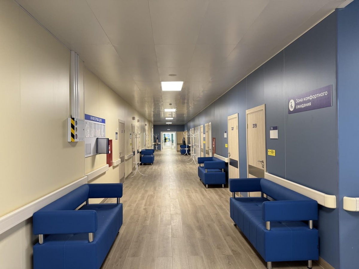    Фото: Администрация г.о. Котельники, источник: t.me/presskotleniki