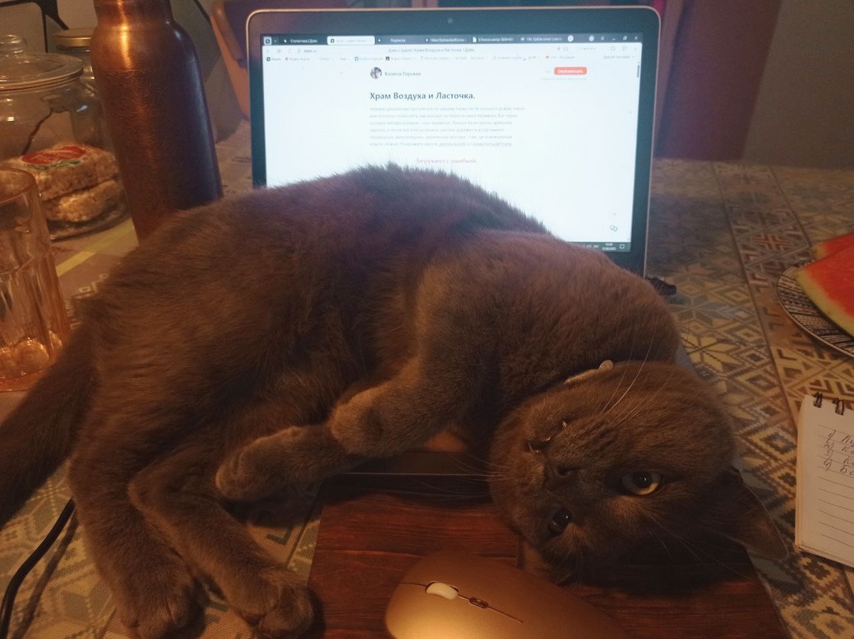 Мрак редактор.