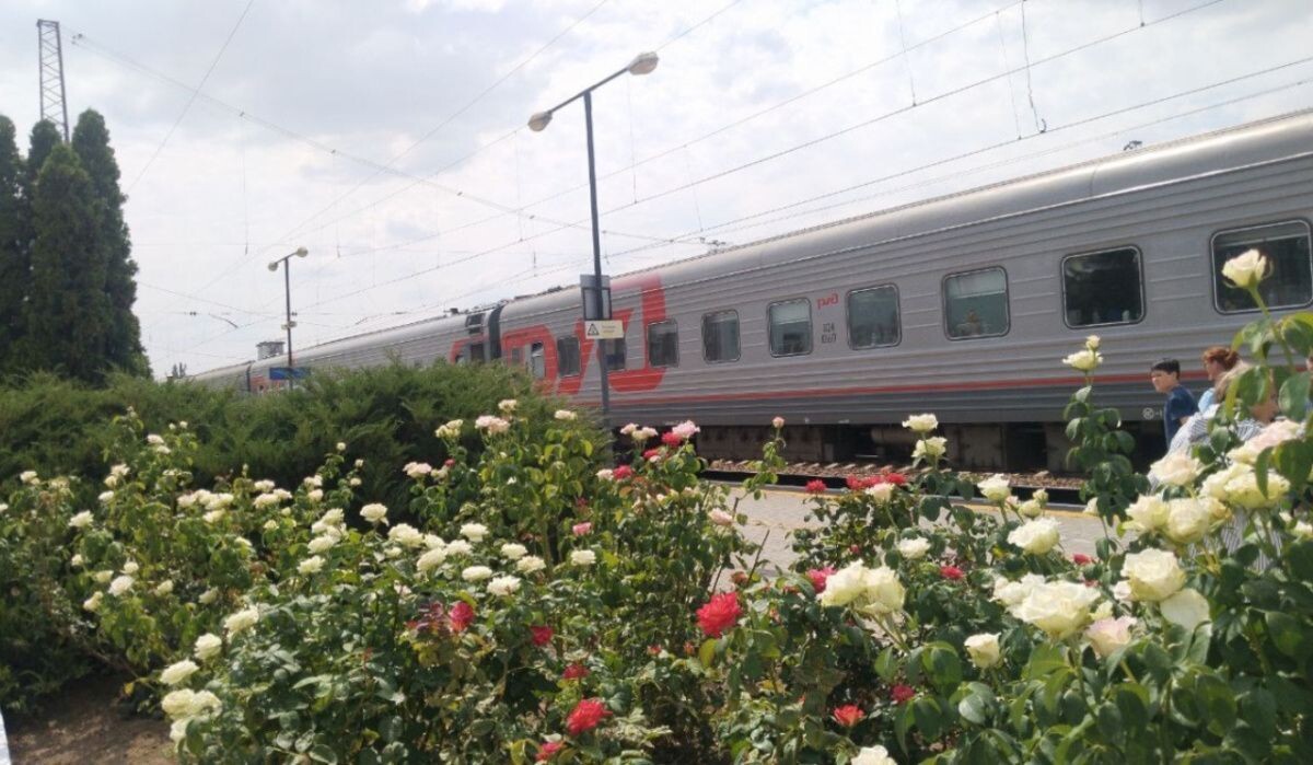     Электричка. Источник: samadm.ru Автор фото: Ольга Басенина