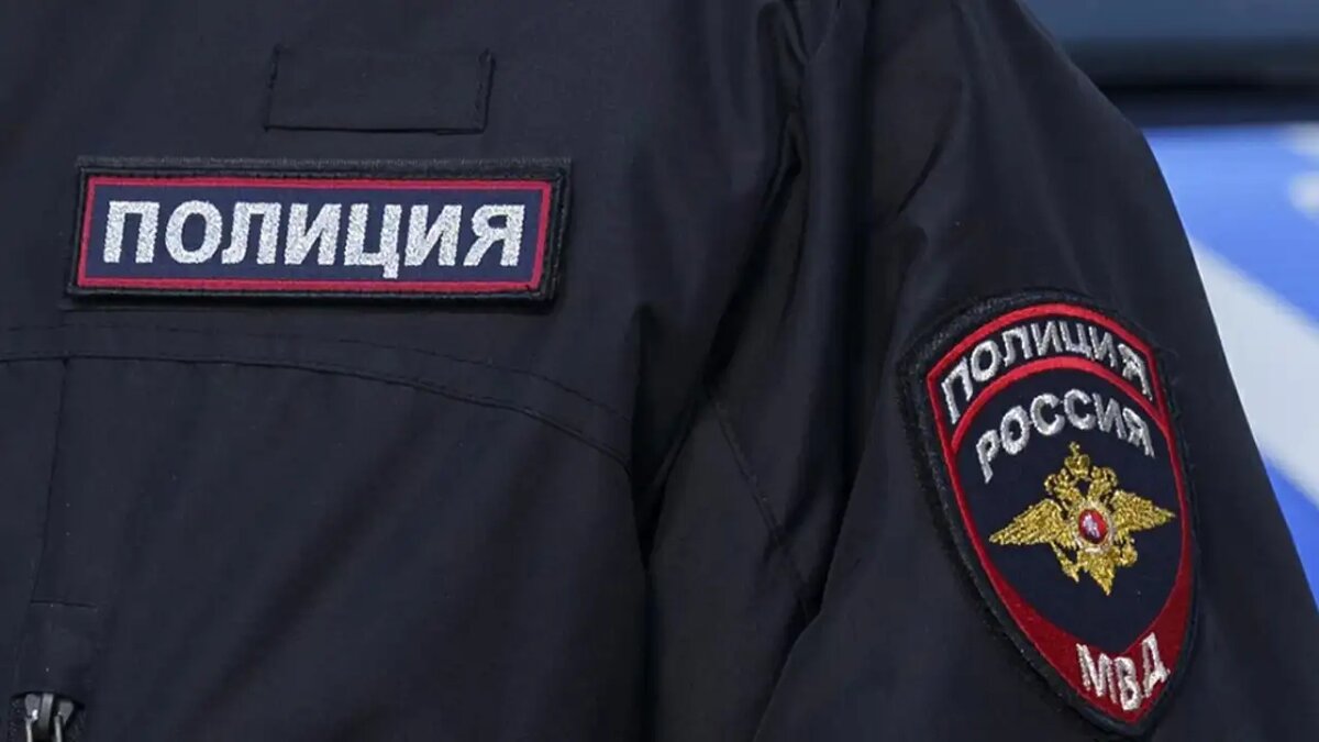    Полиция. © Портал «МВД Медиа»