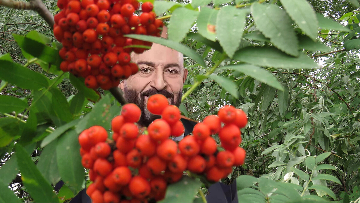 к сожалению, фото Ванинского не нашли....