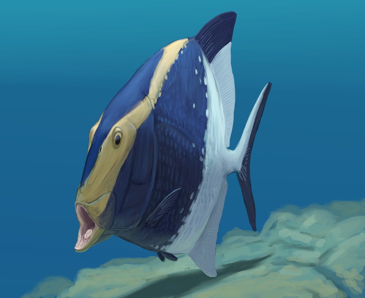    Внимание на рот.   
Joschua Knüppe