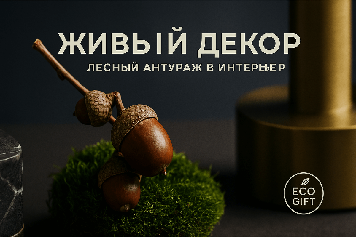    Композиция из желудей и мха: лесной декор для дома Марина Погодина