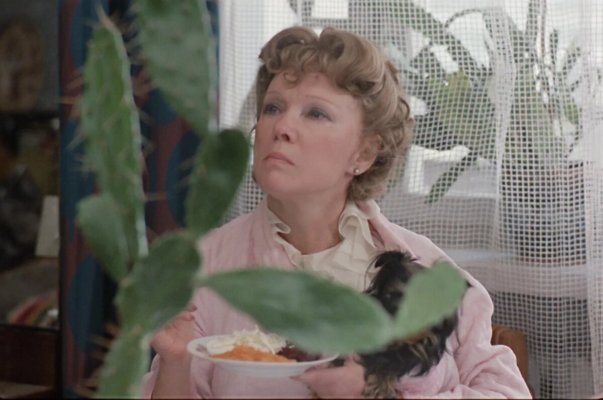 Кадр из фильма «Любовь и голуби» (1984). Скриншот.